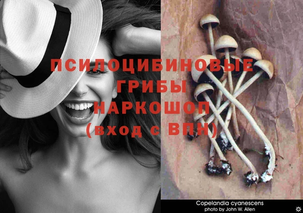 apvp Осташков