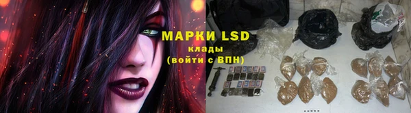 apvp Осташков