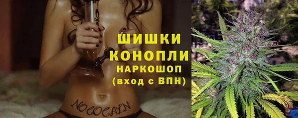 apvp Осташков