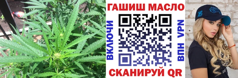 как найти закладки OMG ссылка Дистиллят ТГК вейп с тгк Сольцы