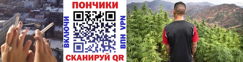 Канабис Amnesia  Сольцы 